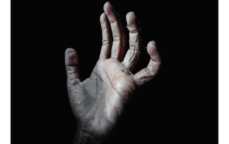 James Suzman, bourreau de travail