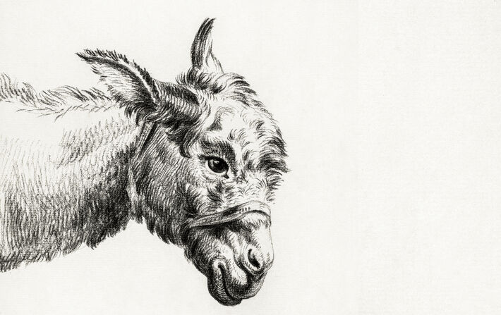 Petite philosophie de l’âne